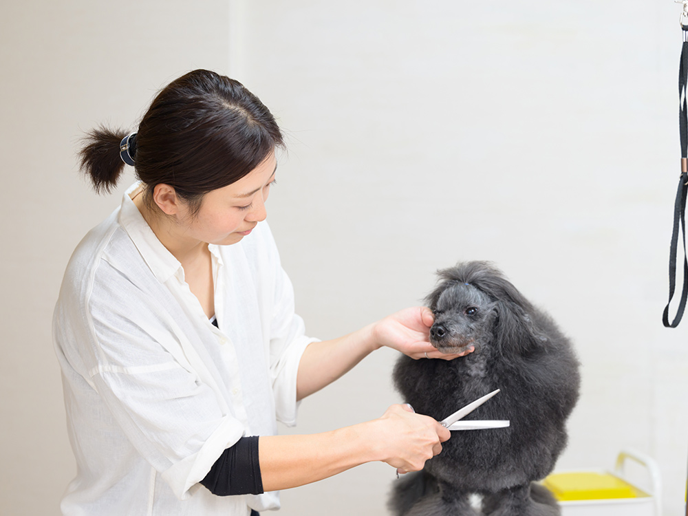 トリマー紹介