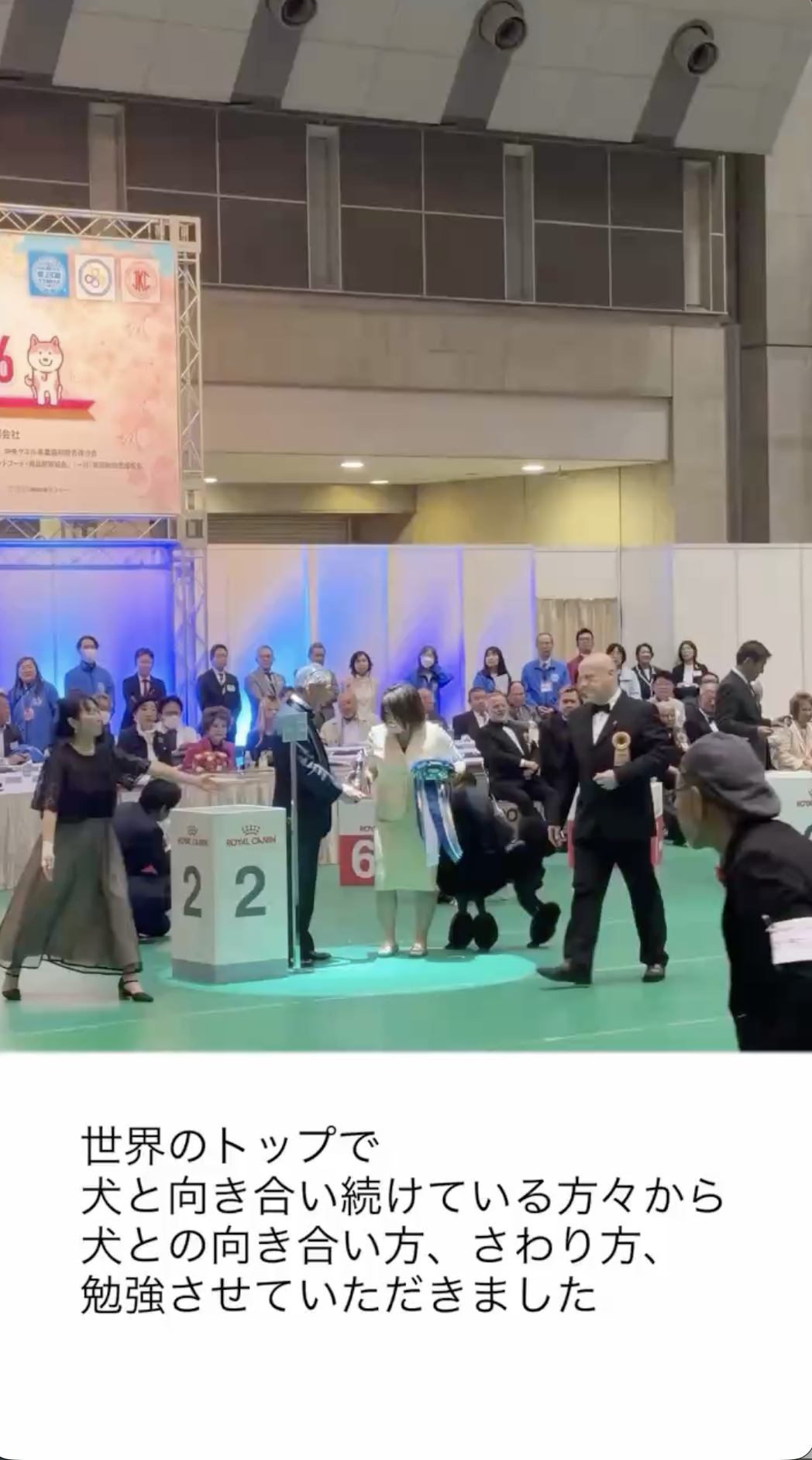 JKCサクラ・アニュアル・ショー2026へ行ってきました！ | DOG GROOMING